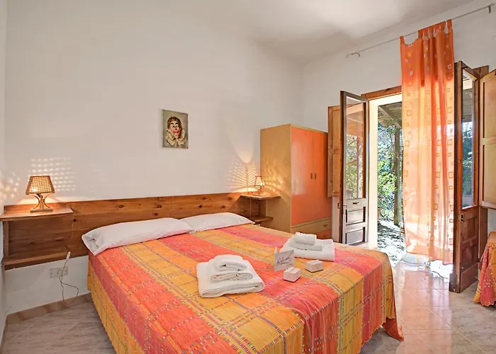 Country Near The Apartment