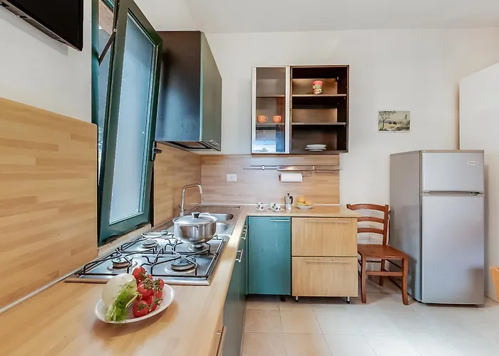 Country Near The Apartament *