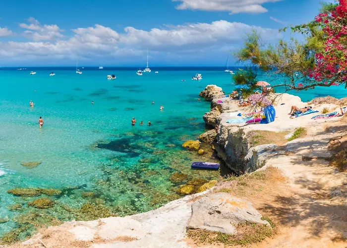 Country Near The Apartament *