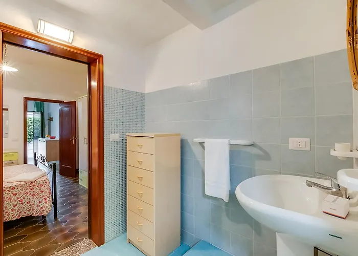 Country Near The Apartament *