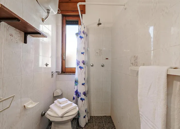 Country Near The Apartament